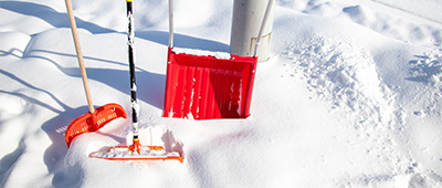 記録的大雪で欠航──それでも会議に間に合わせろ